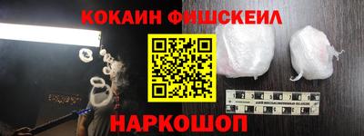 крисы Шелехов