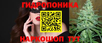 сатива Краснокаменск