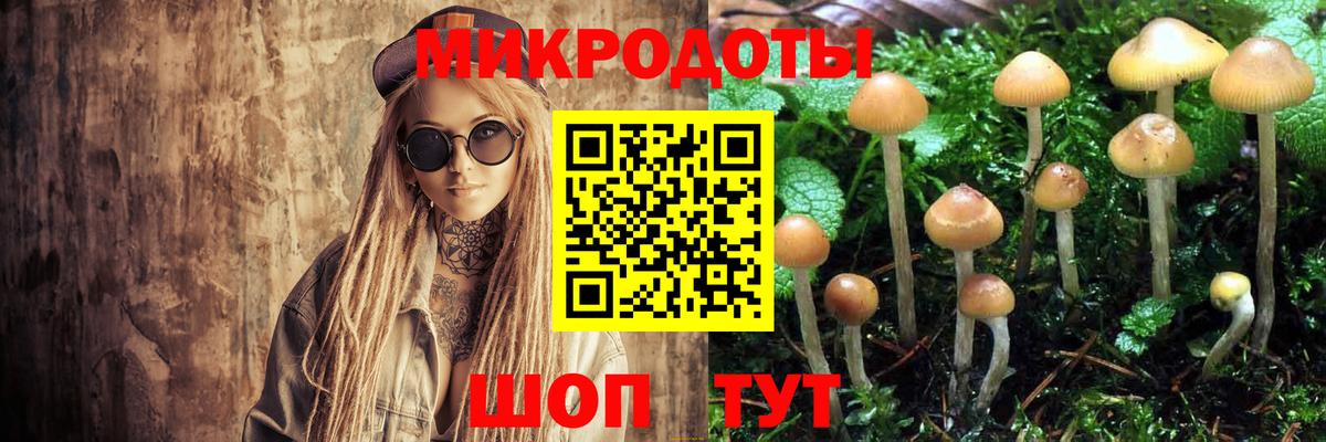 Псилоцибиновые грибы GOLDEN TEACHER Изобильный
